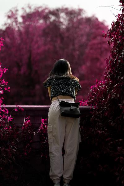 Hill Garden and Pergola 2023